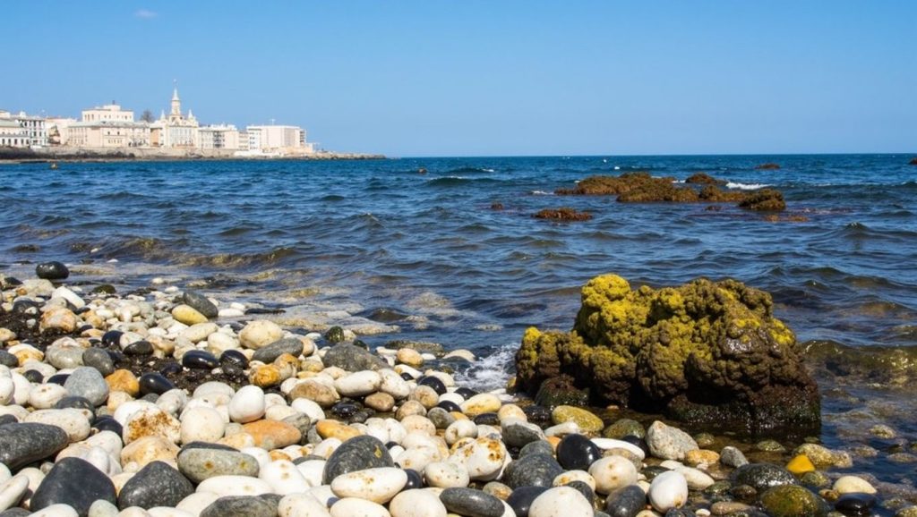 Spiaggia di Giovinazzo - Centro — foto 2 de 6