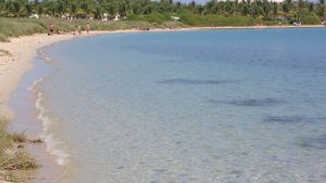 Glyki Nero Beach (Ayia Napa, Chipre)