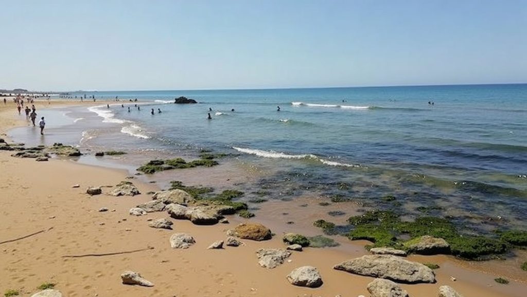 Playa Grande — foto 2 de 6