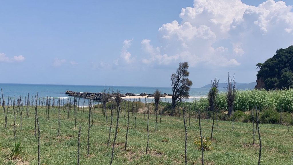Guma (Riviera Albanesa, Albania) — foto 6