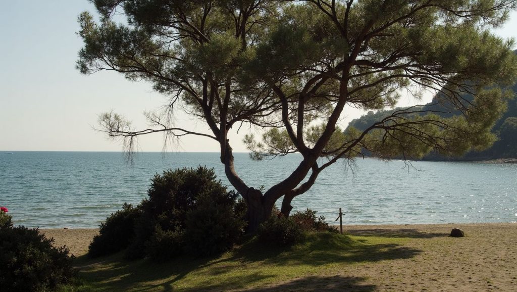 Ixia Beach (Marmaris, Turquía) — foto 3