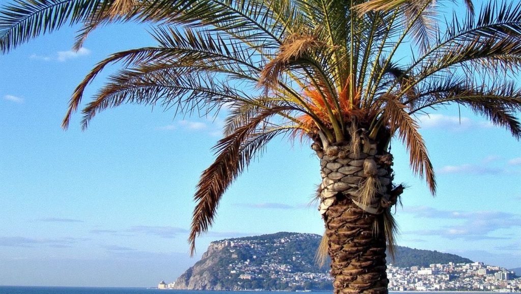 Ixia Beach (Marmaris, Turquía) — foto 5