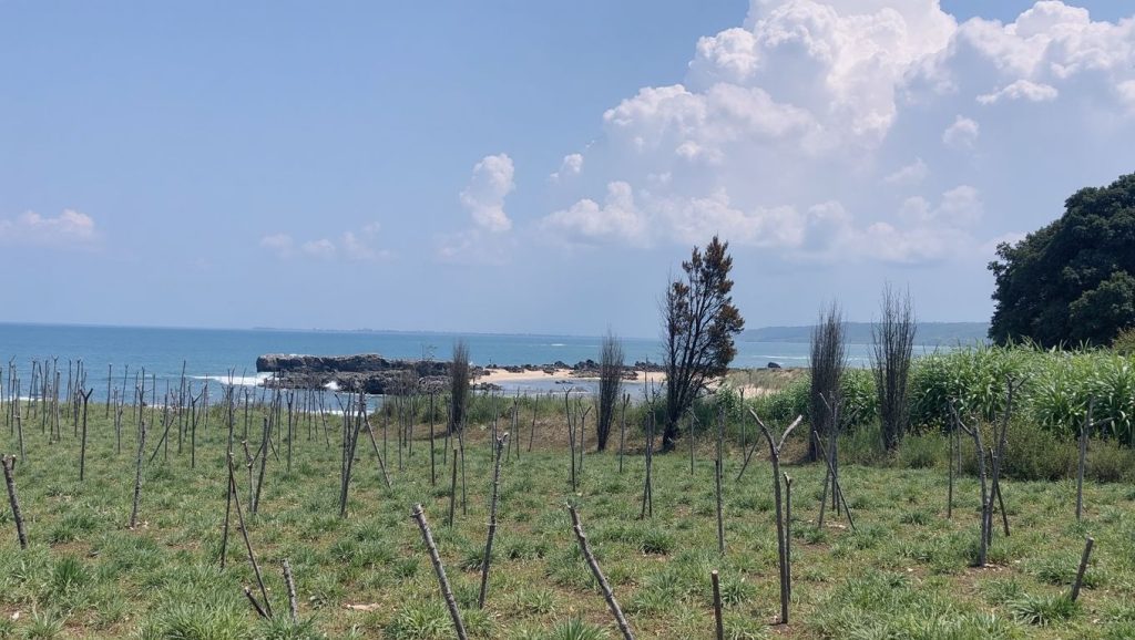Kanoni Beach (Sarandë, Albania) — foto 2