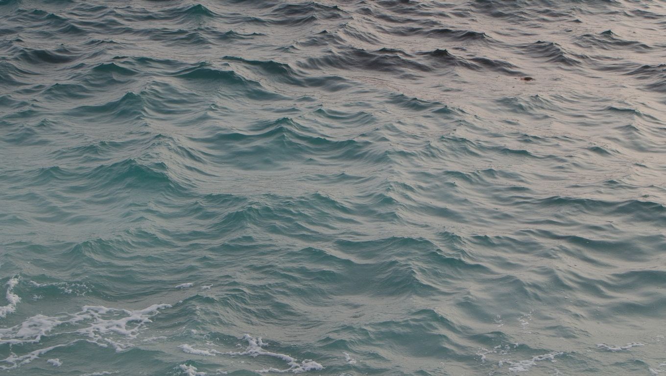Kapparis Bay