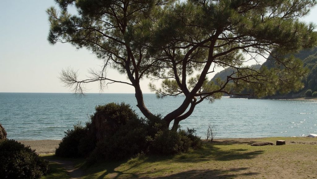 Karasu Plajı (Bodrum, Turquía) — foto 3