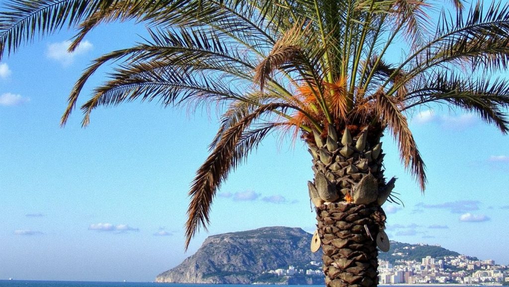 Karasu Plajı (Bodrum, Turquía) — foto 5