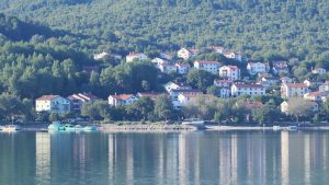 Koralj