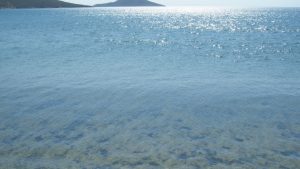 Koru Plajı