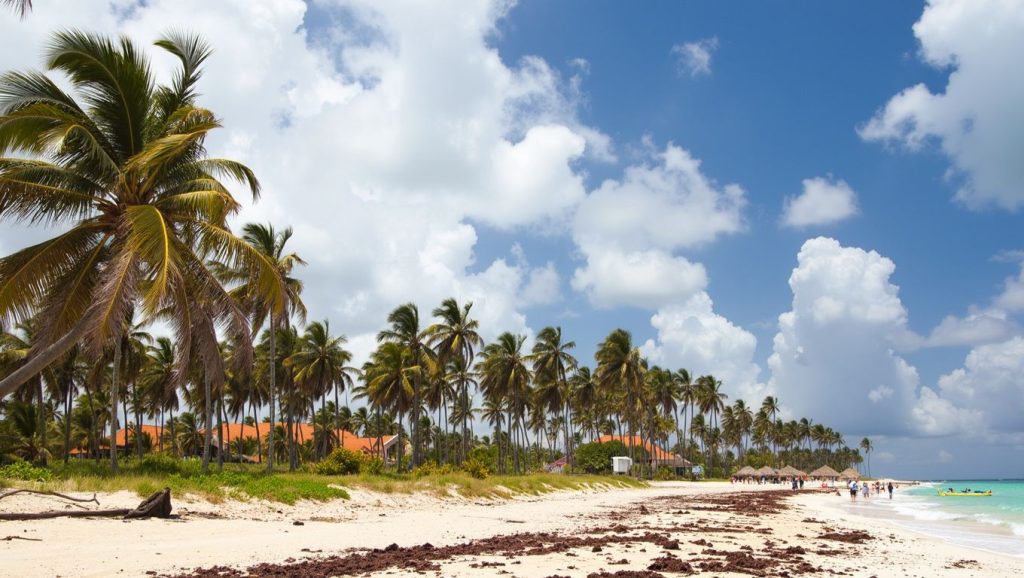 Camino de acceso a La Playita, Samaná, República Dominicana