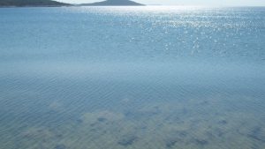Ladies Beach