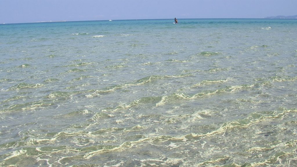 Orilla tranquila de Landa Beach / Golden Beach, playa de ?