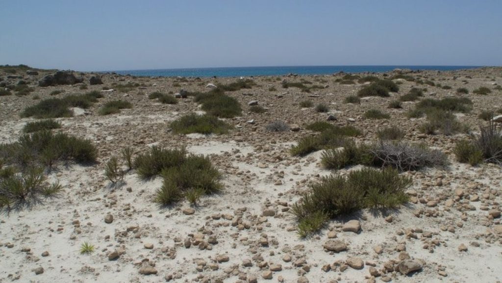 Agua y arena en Latchi Beach, ?