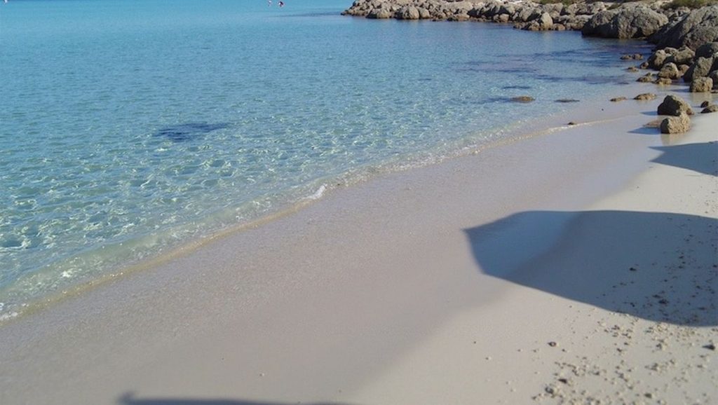 Spiaggia di Lido Conchiglie — foto 5 de 6