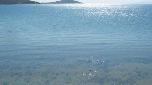 Limni Beach