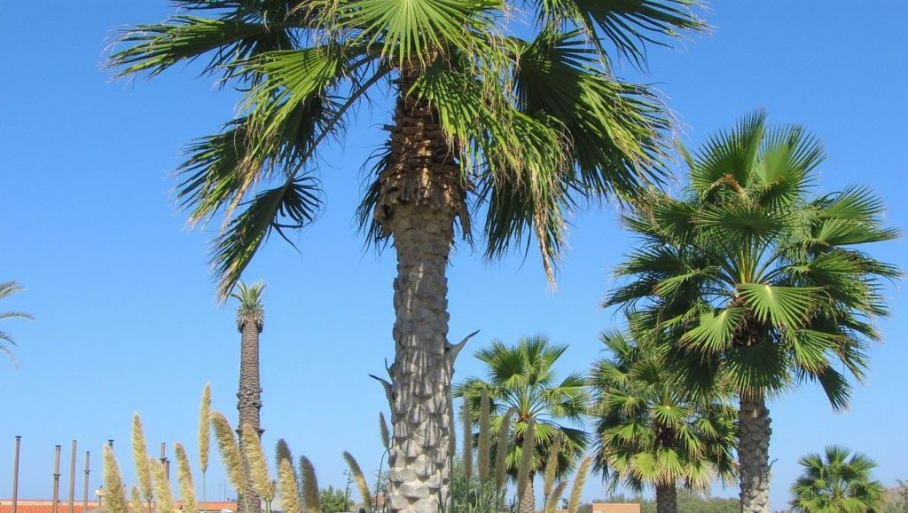 Limni Beach (Marmaris, Turquía) — foto 5