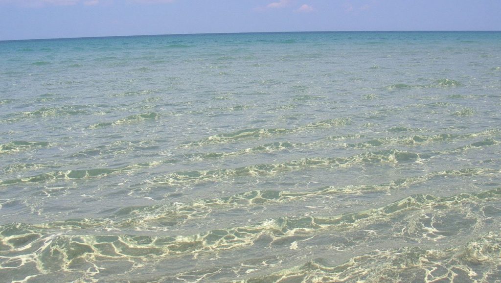 Agua y arena en Mackenzie Beach, ?