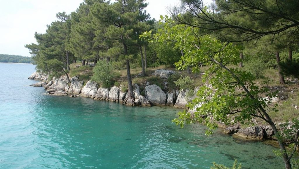 Mala Jana (Krk, Krk) — foto 5