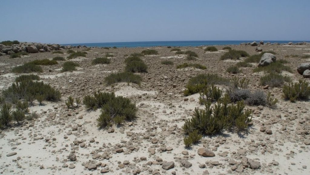 Orilla tranquila de Maria, playa de ?