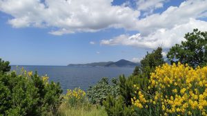 Mirišta