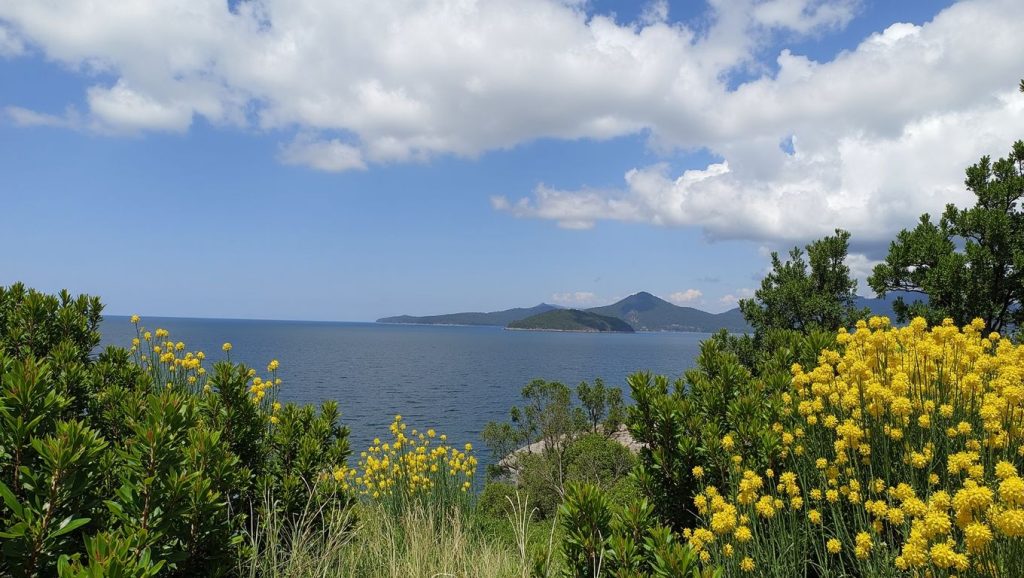 Mirišta (Herceg Novi, Montenegro) — foto 2