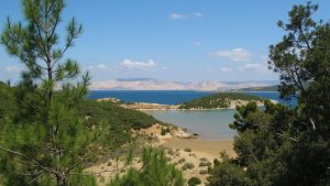 Moby’s beach
