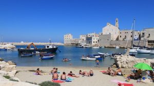 monaci
