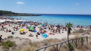 Montedarena