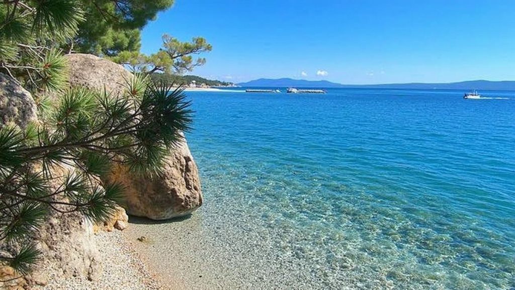 Olas rompiendo en Naturist Beach, Općina Sutivan