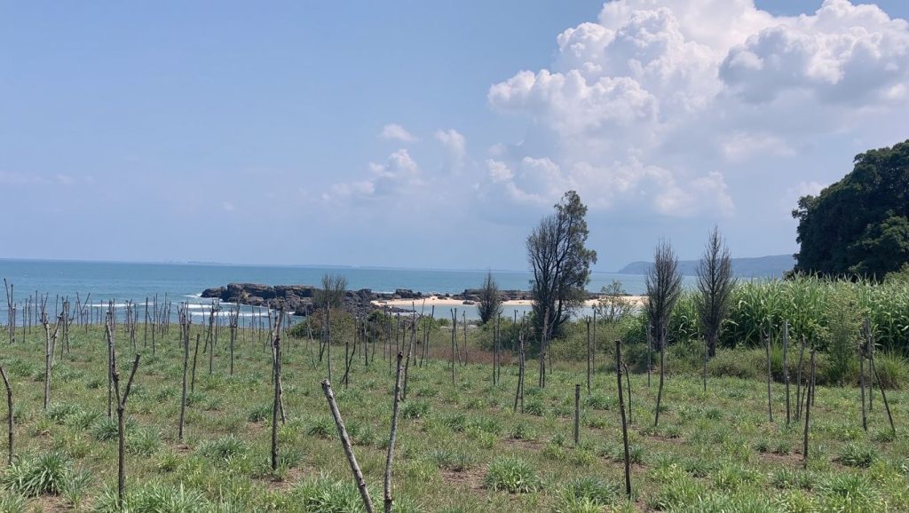 Horizonte desde Nemo Beach, Himara, Albania