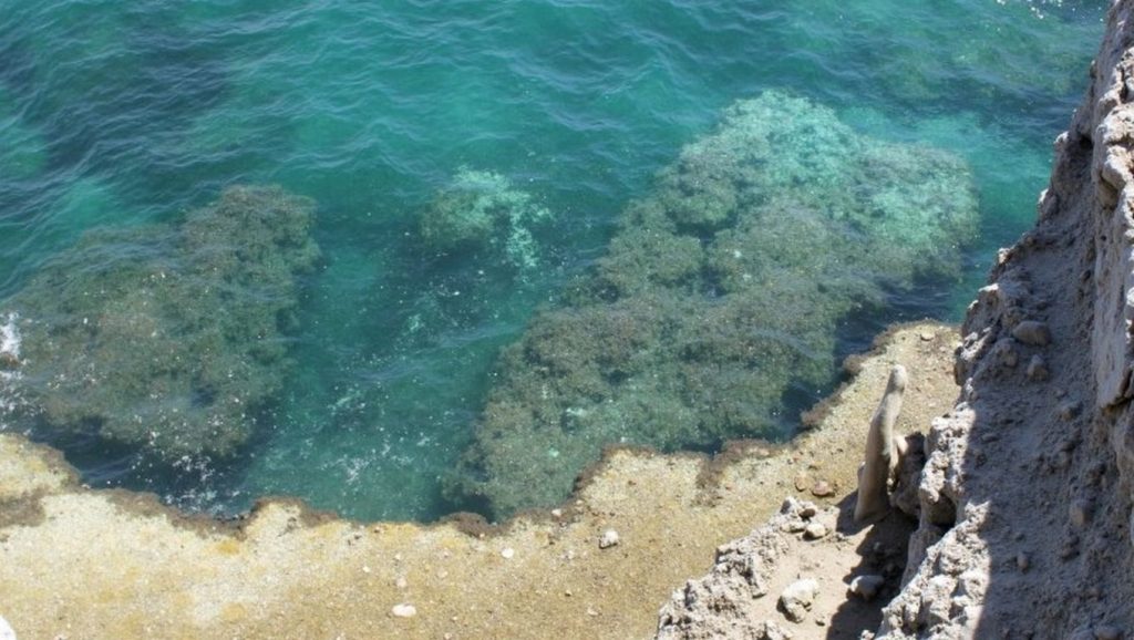 Amplio horizonte marino en Nisia Loumbardi Beach, ?