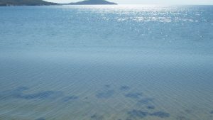 Nos Beach