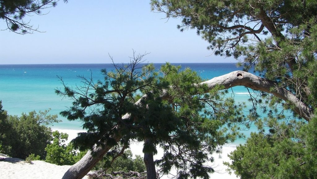 Olivu / a piaghja di l'Alivu (Propriano, Córcega) — foto 2