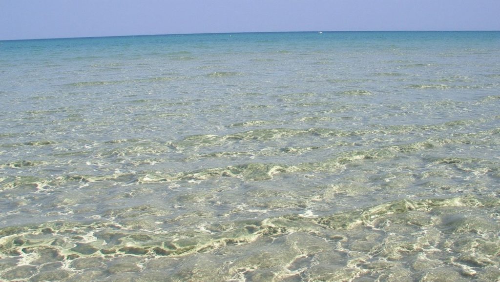 Orilla de Orphani Beach con olas suaves en ?