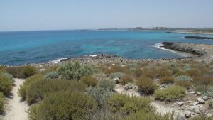Oskar’s Beach (Ayia Napa, Chipre)
