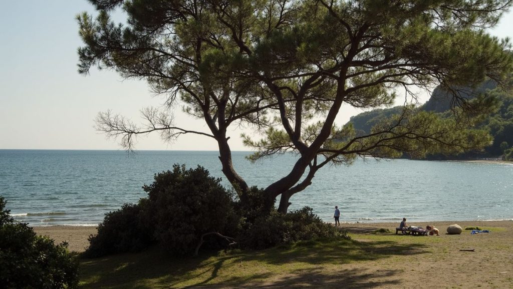 Palmiye Hotel plajı (Antalya, Turquía) — foto 3