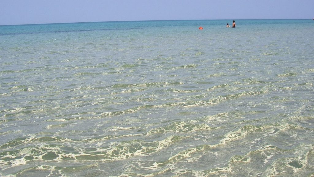 Oleaje en la orilla de Panagies Beach, costa de ?