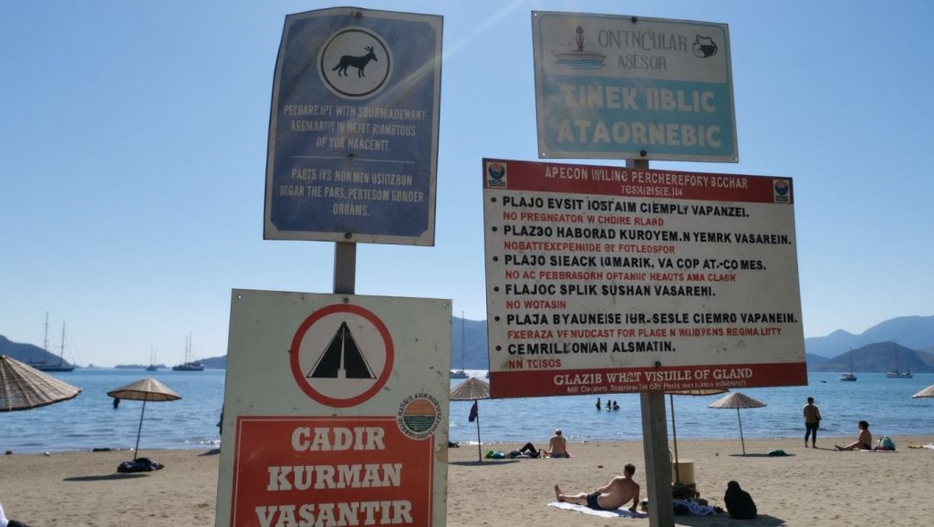 Oleaje en la orilla de Papaz Hamamı Beach, costa de ?