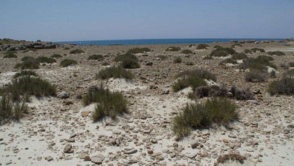 Agua y arena en Pente Litharka Beach, ?