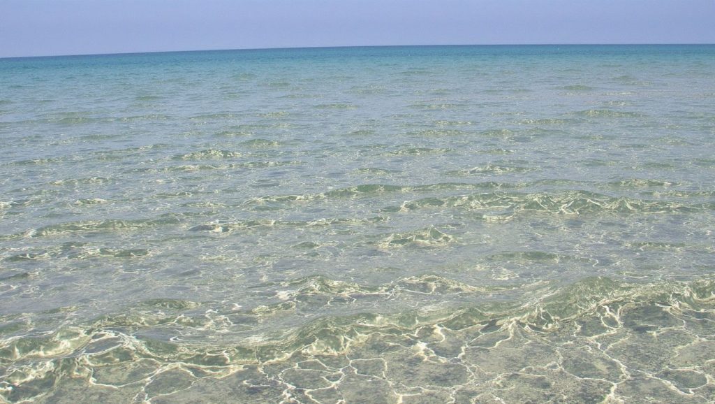 Orilla tranquila de Petite Plage, playa de ?