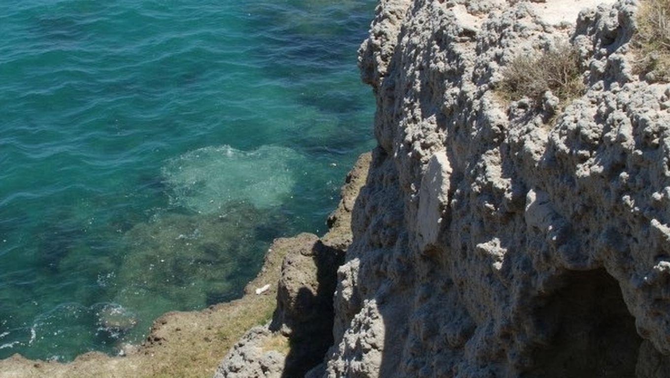 Phinikoudes Larnaca paseo palmeras Chipre