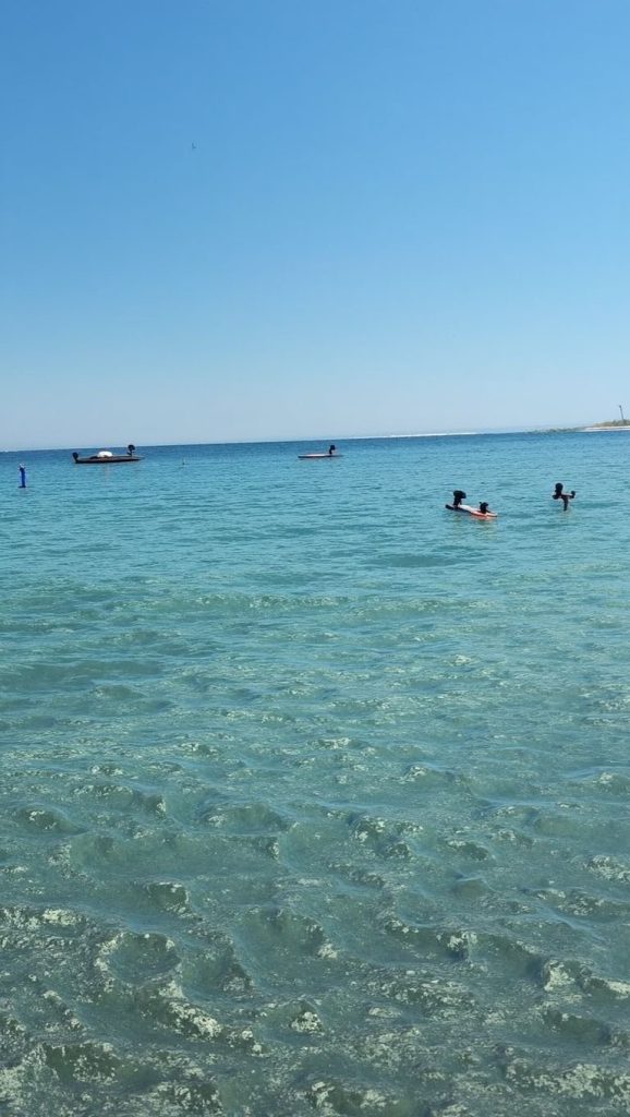 Playa Plage de Bussaglia en Porto, Córcega