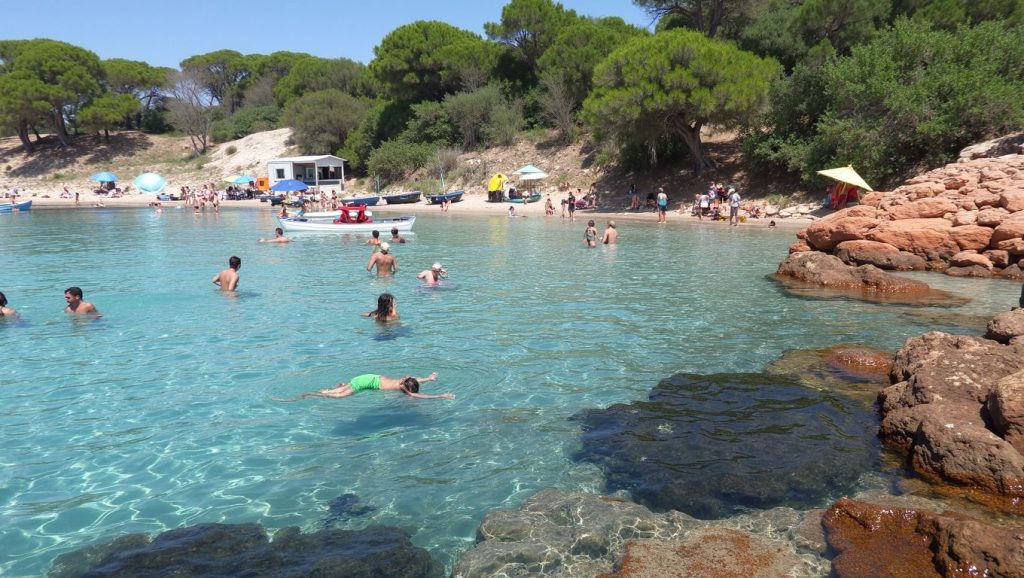 Entorno de Plage de Bussaglia, Porto, Córcega
