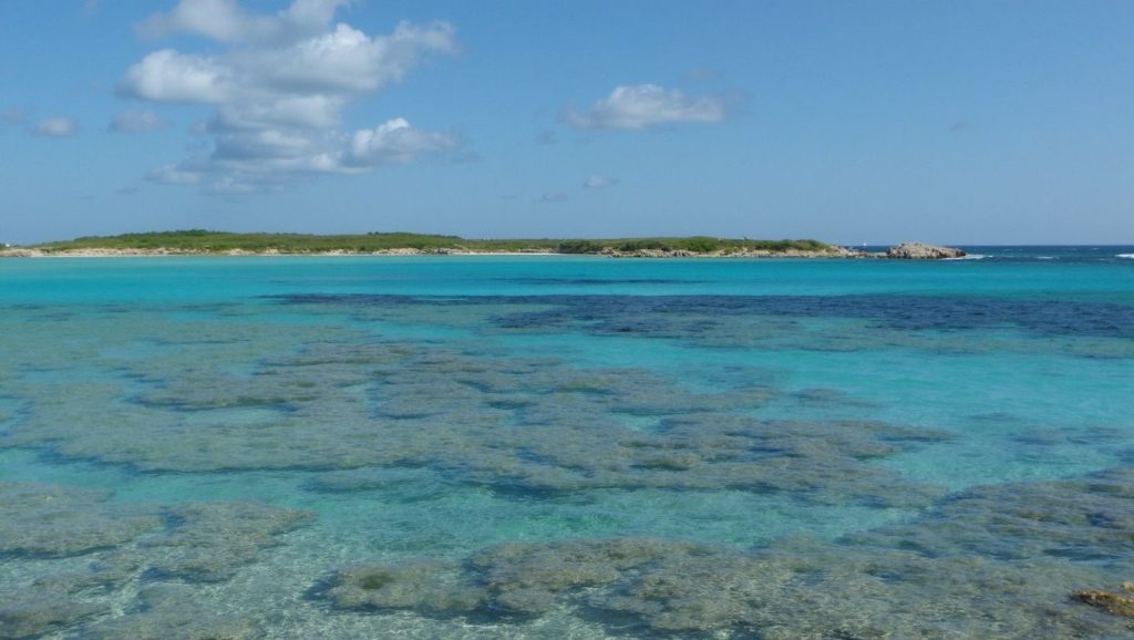 Plage de Canetto (Rondinara, Córcega)