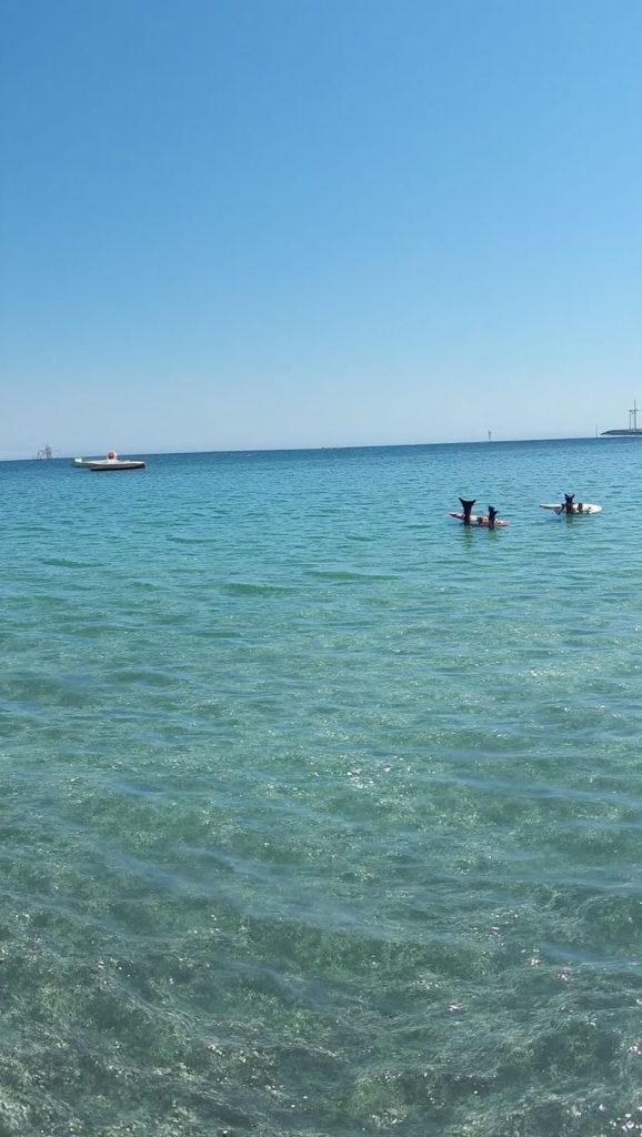 Amplio horizonte marino en Plage de Fica / a Piaghja di l'Acquisecchi, Ajaccio