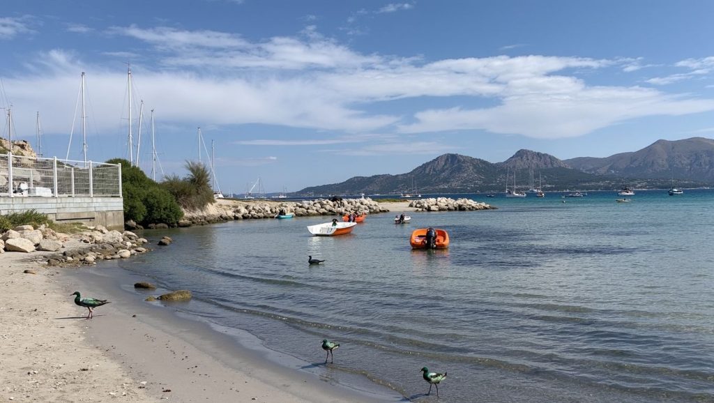Vista del litoral en Plage de la Tonnara, Rondinara