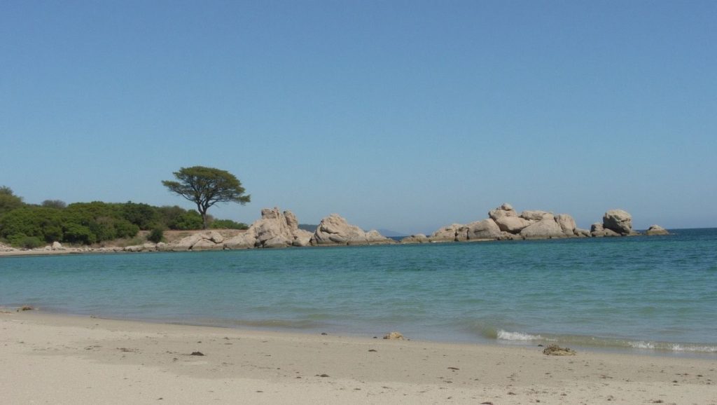 Alrededores de Plage de la Tour, Porto-Vecchio