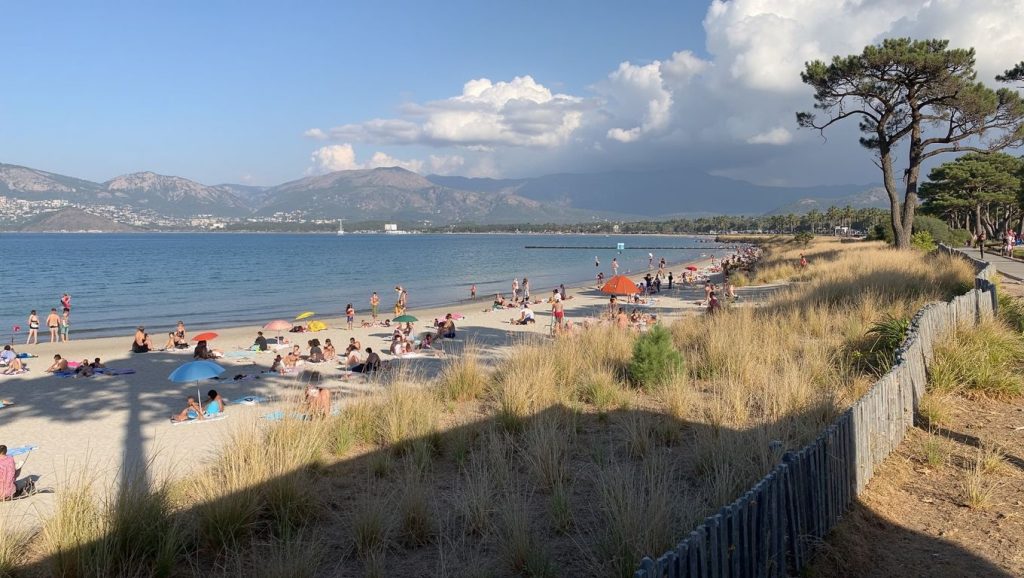 Plage de l'Alga (Calvi, Córcega)