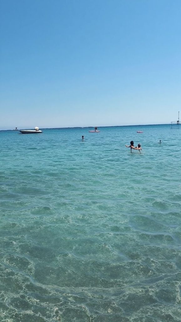 Alrededores de Plage de Mare e Sole / a Piaghja di Chjavari, Ajaccio