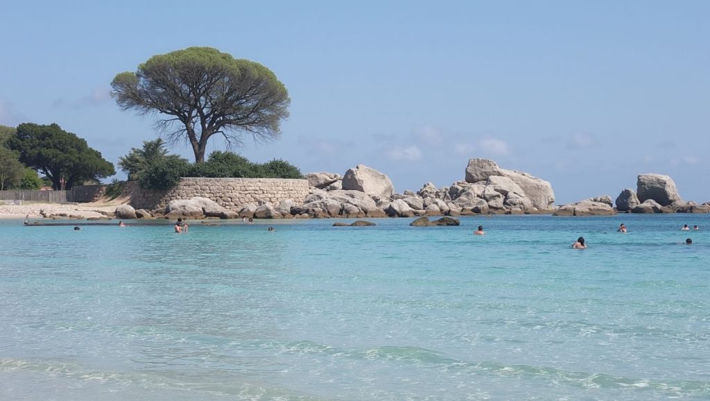 Detalle de arena y agua en Plage de Palombaggia, Rondinara