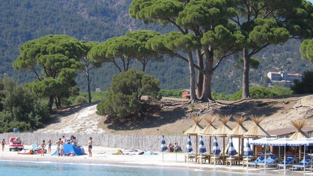 Oleaje en la orilla de Plage de Posidonie, costa de Porto-Vecchio